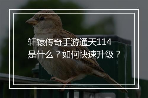 轩辕传奇手游通天114是什么？如何快速升级？