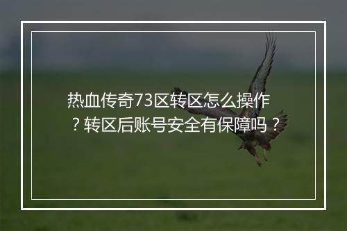 热血传奇73区转区怎么操作？转区后账号安全有保障吗？