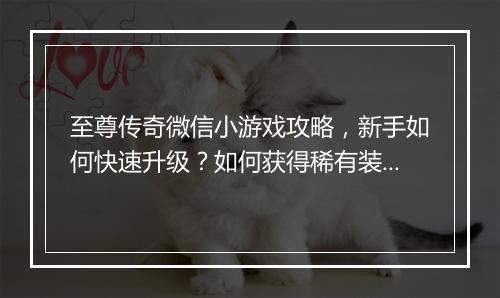 至尊传奇微信小游戏攻略，新手如何快速升级？如何获得稀有装备？
