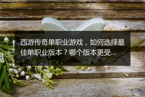 西游传奇单职业游戏，如何选择最佳单职业版本？哪个版本更受欢迎？