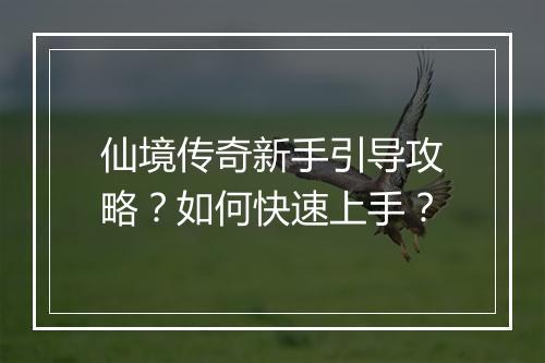 仙境传奇新手引导攻略？如何快速上手？