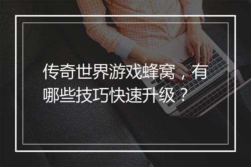 传奇世界游戏蜂窝，有哪些技巧快速升级？