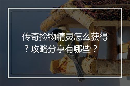 传奇捡物精灵怎么获得？攻略分享有哪些？