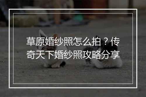 草原婚纱照怎么拍？传奇天下婚纱照攻略分享