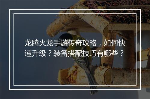 龙腾火龙手游传奇攻略，如何快速升级？装备搭配技巧有哪些？