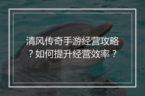 清风传奇手游经营攻略？如何提升经营效率？