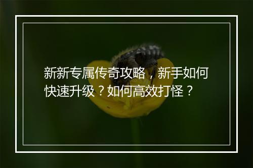 新新专属传奇攻略，新手如何快速升级？如何高效打怪？
