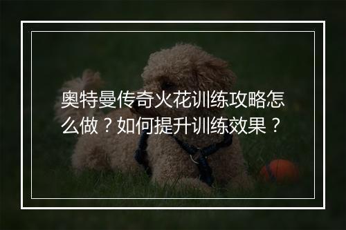 奥特曼传奇火花训练攻略怎么做？如何提升训练效果？