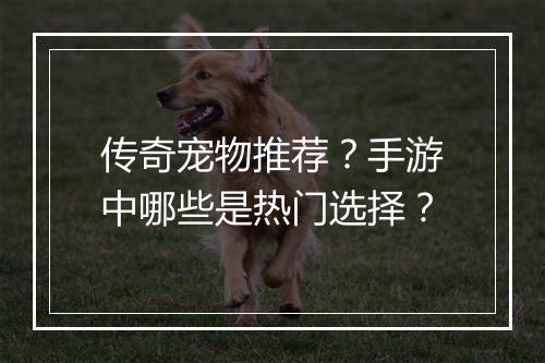 传奇宠物推荐？手游中哪些是热门选择？