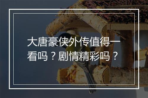 大唐豪侠外传值得一看吗？剧情精彩吗？