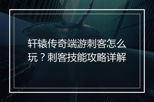 轩辕传奇端游刺客怎么玩？刺客技能攻略详解