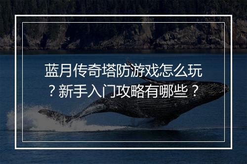 蓝月传奇塔防游戏怎么玩？新手入门攻略有哪些？