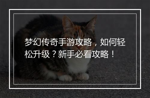 梦幻传奇手游攻略，如何轻松升级？新手必看攻略！
