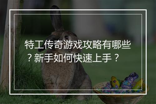 特工传奇游戏攻略有哪些？新手如何快速上手？