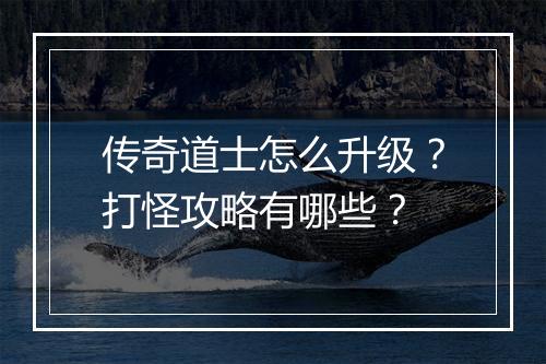 传奇道士怎么升级？打怪攻略有哪些？