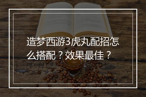 造梦西游3虎丸配招怎么搭配？效果最佳？