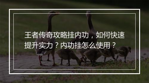 王者传奇攻略挂内功，如何快速提升实力？内功挂怎么使用？