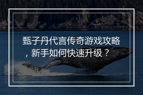 甄子丹代言传奇游戏攻略，新手如何快速升级？
