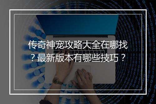 传奇神宠攻略大全在哪找？最新版本有哪些技巧？