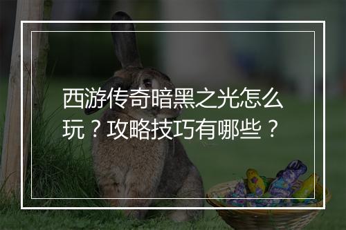 西游传奇暗黑之光怎么玩？攻略技巧有哪些？