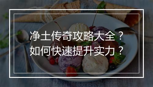 净土传奇攻略大全？如何快速提升实力？