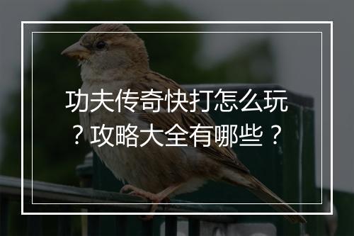 功夫传奇快打怎么玩？攻略大全有哪些？