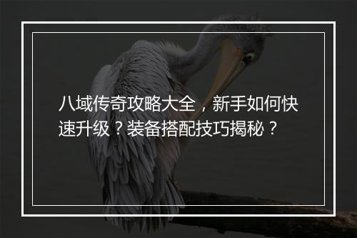八域传奇攻略大全，新手如何快速升级？装备搭配技巧揭秘？