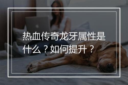 热血传奇龙牙属性是什么？如何提升？