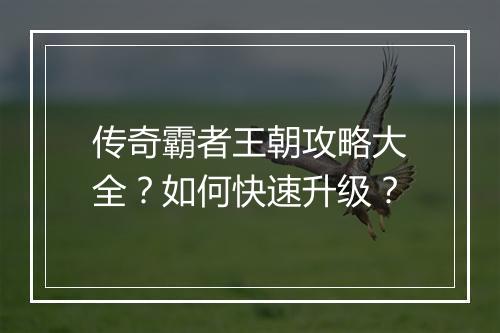 传奇霸者王朝攻略大全？如何快速升级？