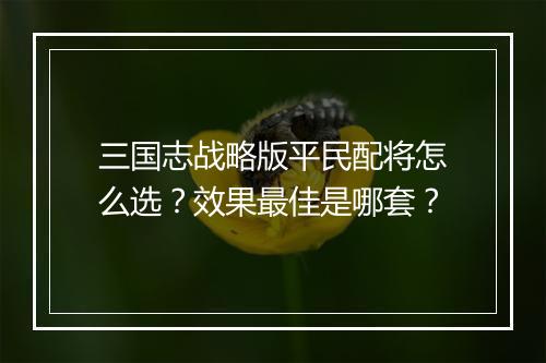 三国志战略版平民配将怎么选？效果最佳是哪套？