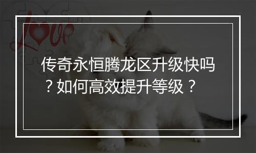 传奇永恒腾龙区升级快吗？如何高效提升等级？