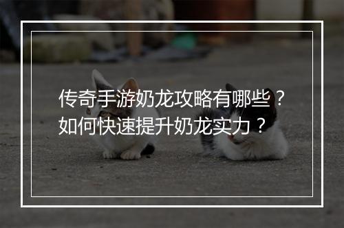 传奇手游奶龙攻略有哪些？如何快速提升奶龙实力？