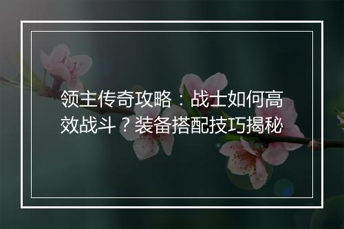 领主传奇攻略：战士如何高效战斗？装备搭配技巧揭秘