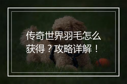 传奇世界羽毛怎么获得？攻略详解！