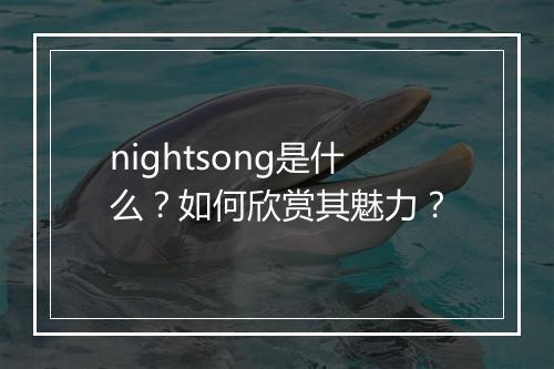 nightsong是什么？如何欣赏其魅力？