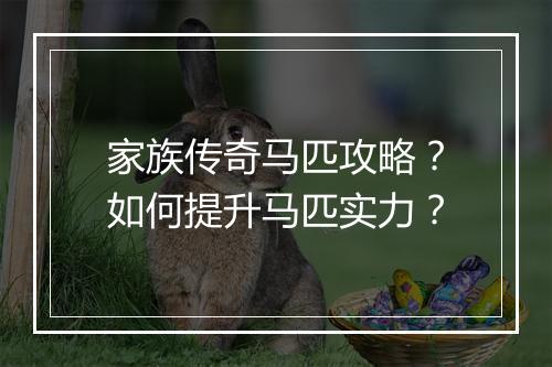 家族传奇马匹攻略？如何提升马匹实力？