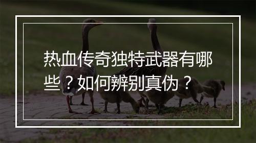 热血传奇独特武器有哪些？如何辨别真伪？