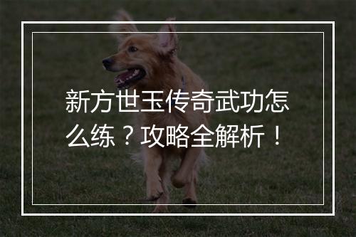 新方世玉传奇武功怎么练？攻略全解析！
