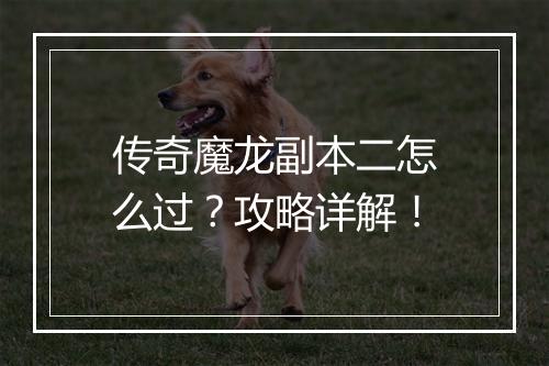 传奇魔龙副本二怎么过？攻略详解！