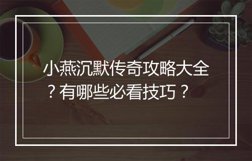小燕沉默传奇攻略大全？有哪些必看技巧？