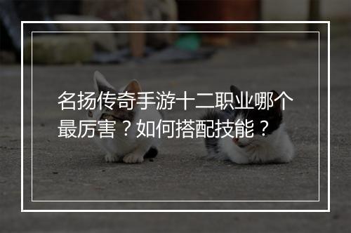 名扬传奇手游十二职业哪个最厉害？如何搭配技能？