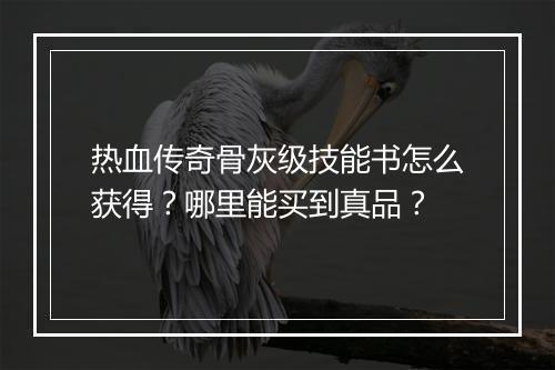 热血传奇骨灰级技能书怎么获得？哪里能买到真品？