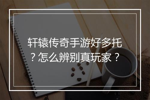 轩辕传奇手游好多托？怎么辨别真玩家？