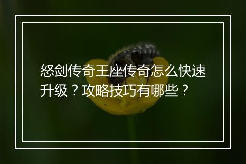 怒剑传奇王座传奇怎么快速升级？攻略技巧有哪些？