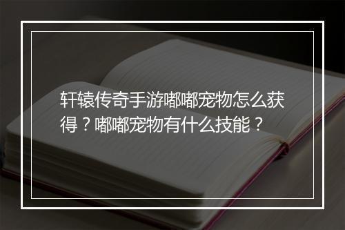 轩辕传奇手游嘟嘟宠物怎么获得？嘟嘟宠物有什么技能？