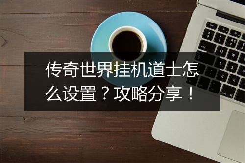 传奇世界挂机道士怎么设置？攻略分享！