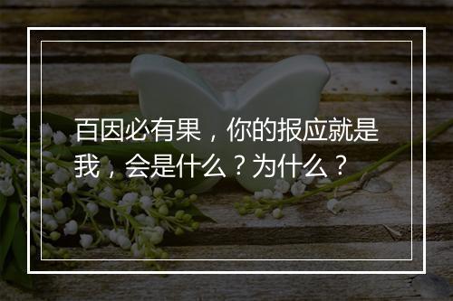 百因必有果，你的报应就是我，会是什么？为什么？