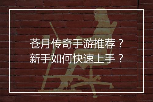 苍月传奇手游推荐？新手如何快速上手？