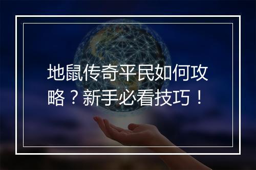 地鼠传奇平民如何攻略？新手必看技巧！