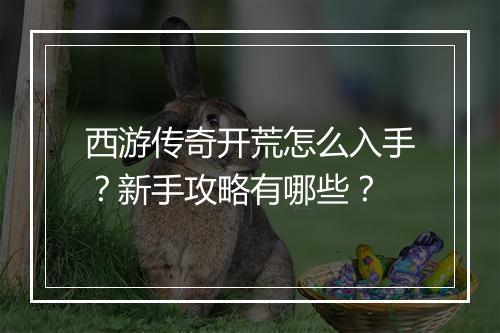 西游传奇开荒怎么入手？新手攻略有哪些？